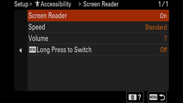 Image of camera display showing  Screen reader setting menu