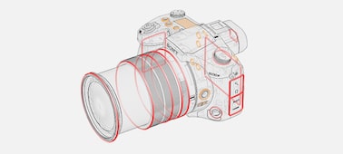 Image de RX10 IV avec AF de 0,03 s et zoom optique 25x