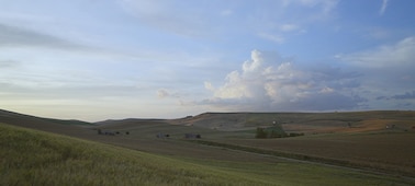 Example image showing video frame grab of meadow landscape